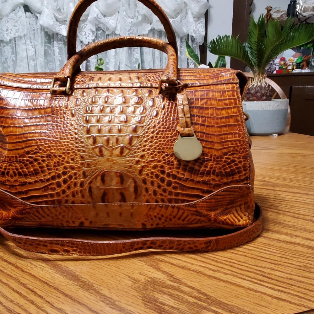 Beautiful Brahmin Purse